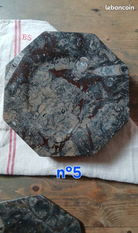 Assiette fossile (image 7)