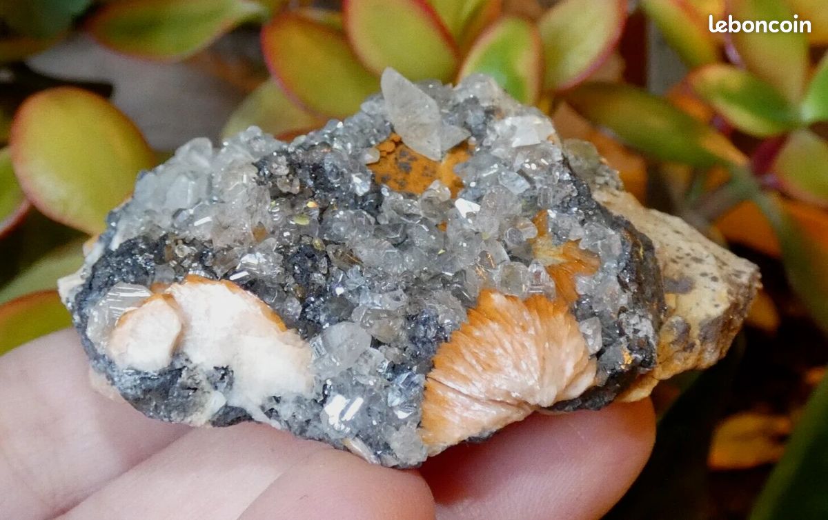 Baryte Cérusite Galène Mibladen 6x4.5cm Maroc minéraux collection pierre rare M98 (image 5)