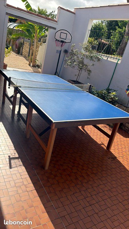 Table de ping pong Martineau (image 1)