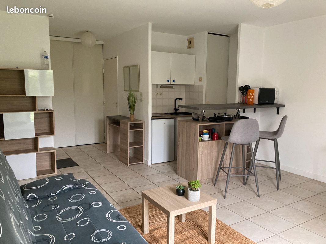 Studio proche IUT - 30m2 - Limoges 87000 (image principale 1)