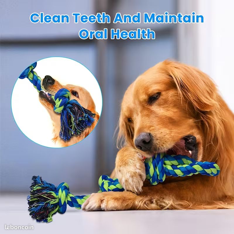 Jouet pour Chiens , Jouet en Corde pour Nettoyage des Dents (image 2)