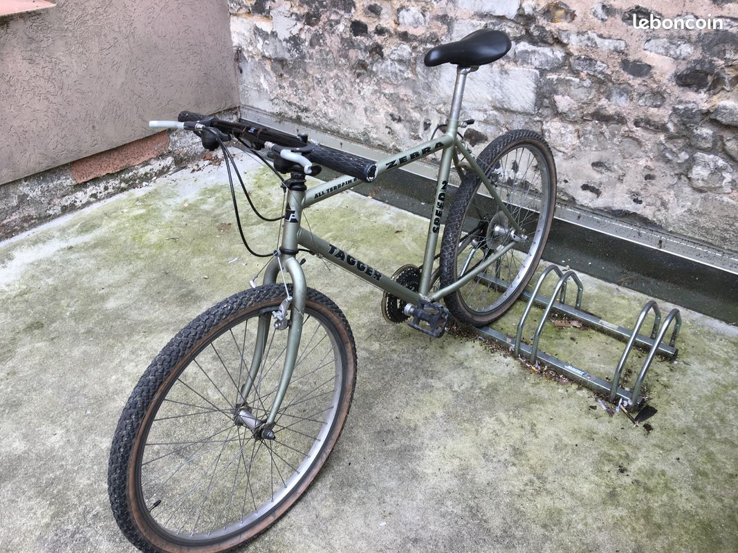 Vélo VTT Zebra (image 3)