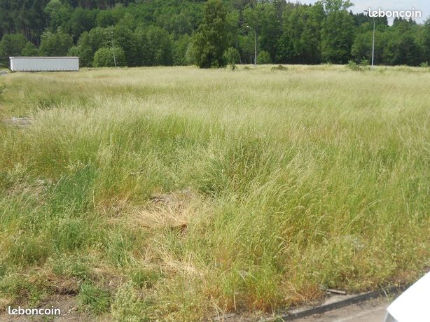 Terrain 5000 M² constructible entreprise et particulier