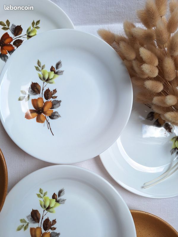 Ens 6 assiettes ARCOPAL Les grillades. Style culte vintage ann 70 Ens 6 assiettes ARCOPAL Les grillades. Style culte vintage ann 70