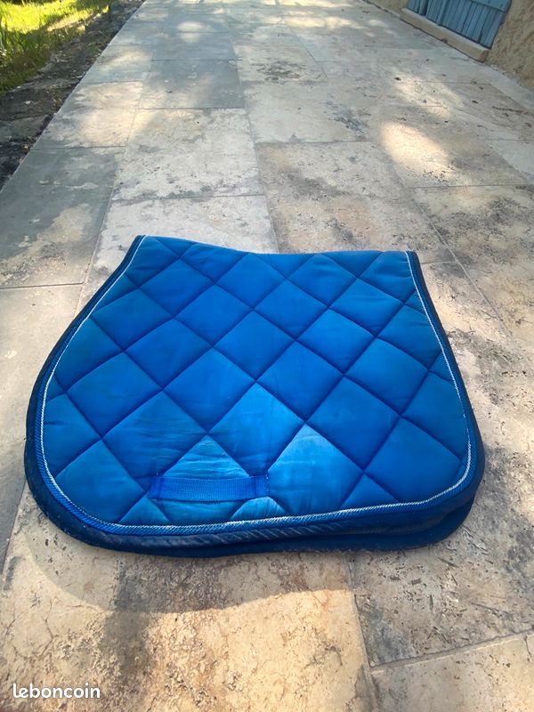 Tapis performance bleu cheval (image 1)