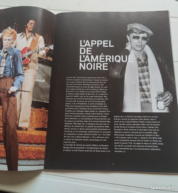 David Bowie is revue (image 4)