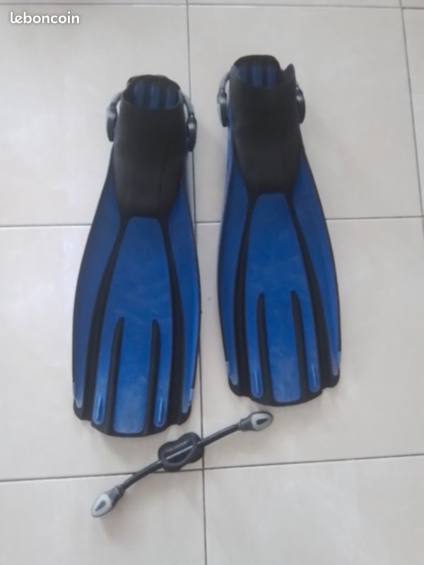 Palme sangle neuve (image 2)