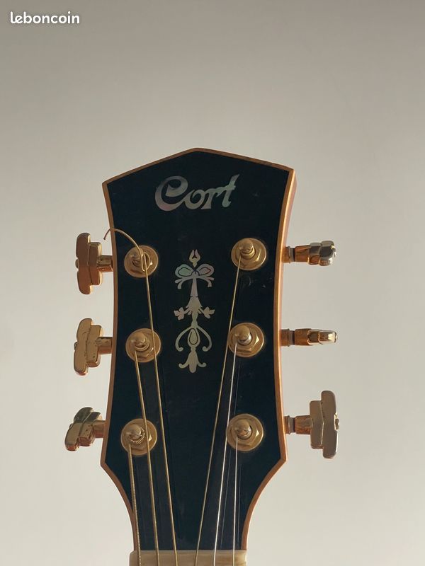 Guitare Folk Acoustique Cort Custom Jumbo (type Martin) - Palissandre Massif (image 6)
