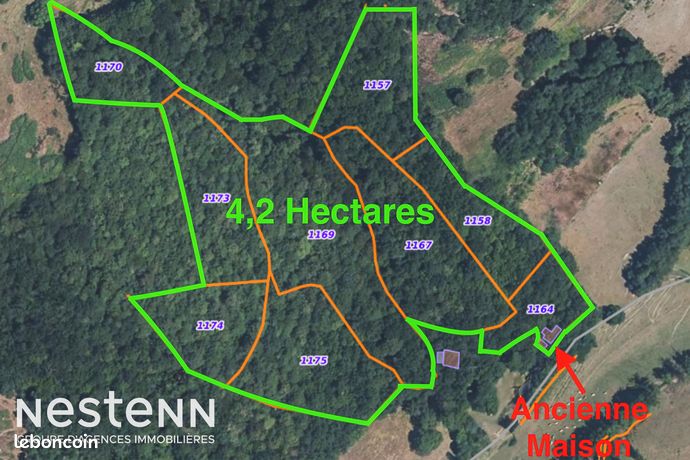 Terrain 42195 m² CURVALLE