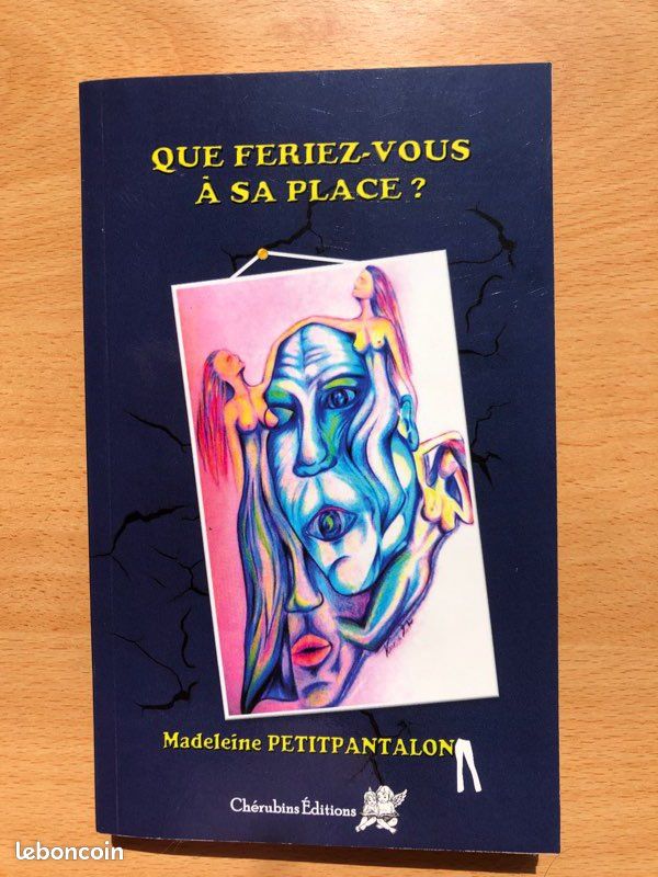 Livre de Madeleine Petitpantalon « Que feriez-vous à sa place ? » (image 1)