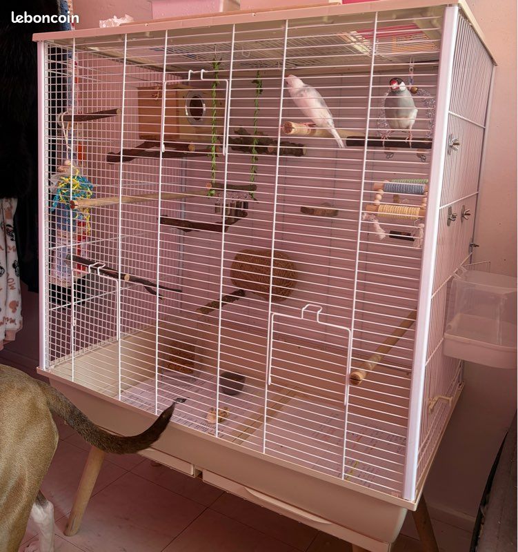Cage oiseaux avec bac et 4 ouvertures savic beige (image 1)