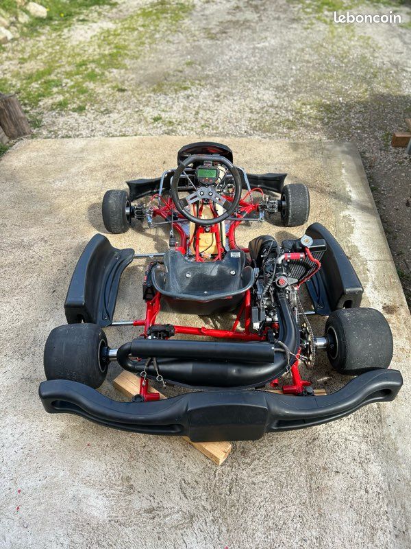 Karting rotax Max 125 (image 2)