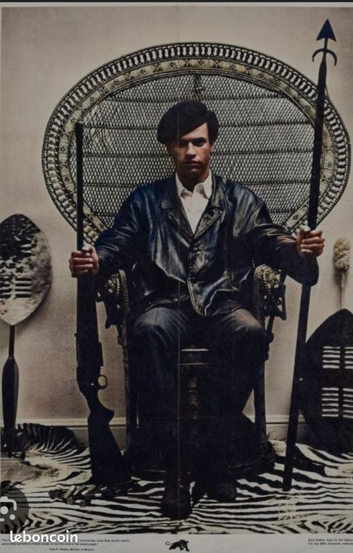 Fauteuil Emmanuelle ou Black Panthers (image 8)