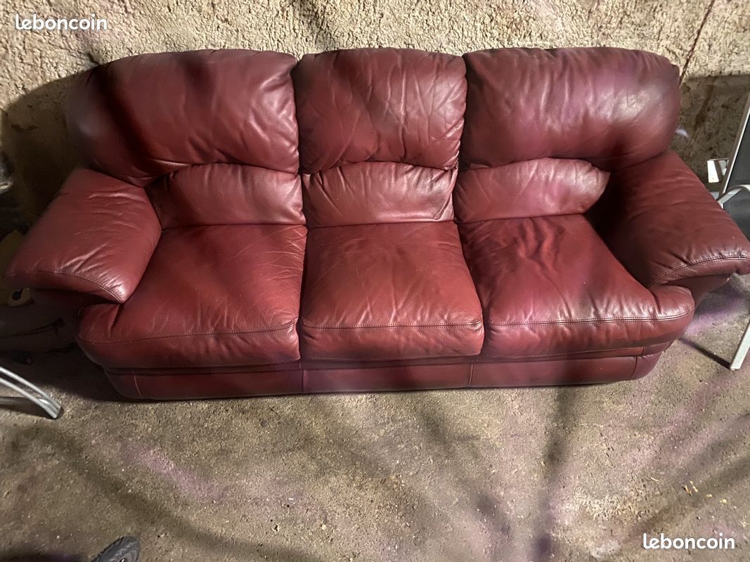 Canapé vrai cuir confortable (image 3)