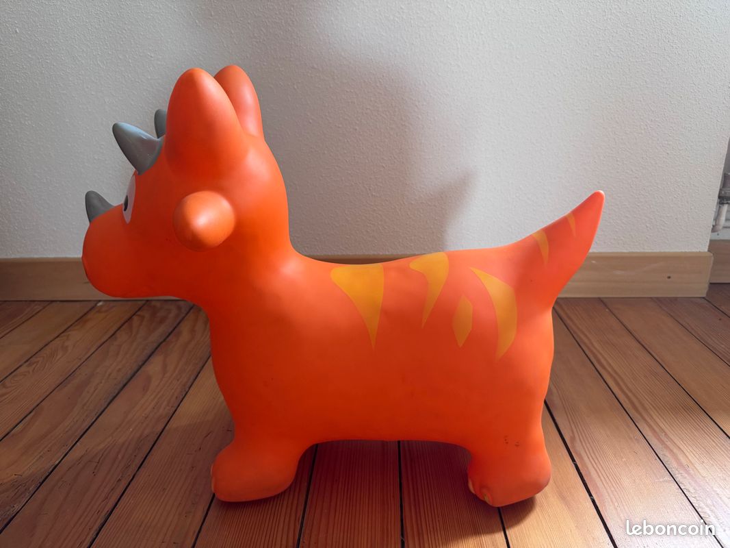Ballon sauteur (image 4)