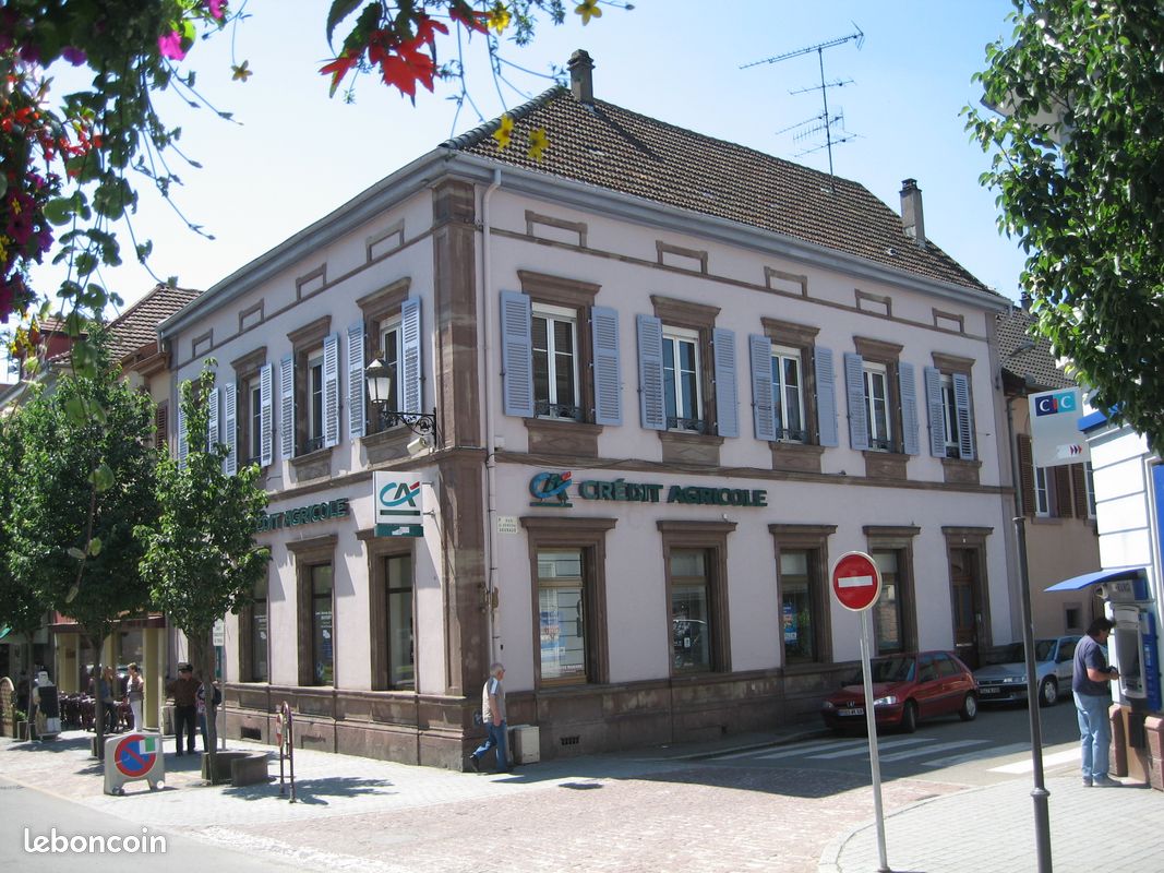 Immeuble 16 pièces 360 m² · à Guebwiller · 360 m² · 590 000 €