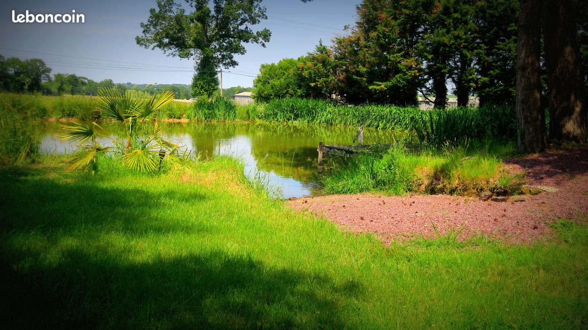 Brocéliande - l’Hôtié d’Haligan (image 6)