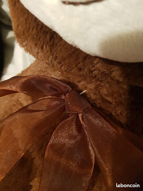 Ours en peluche géant (image 4)