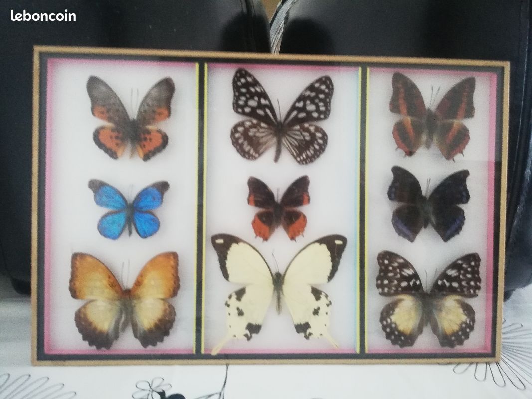 Tableaux (image 1)