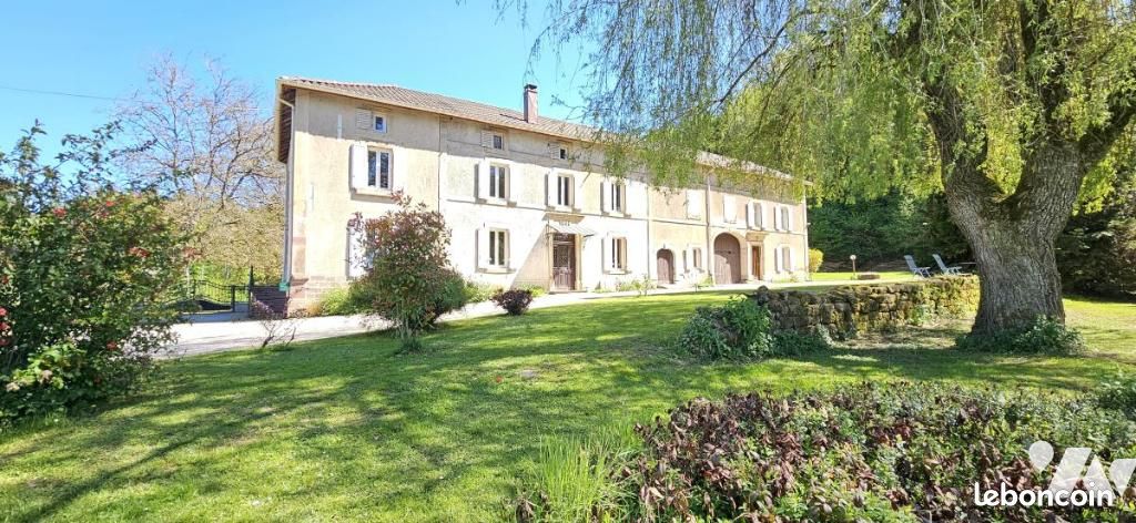 Maison 9 pièces 300 m² · à Ménil-sur-Belvitte · 300 m² · 489 000 €