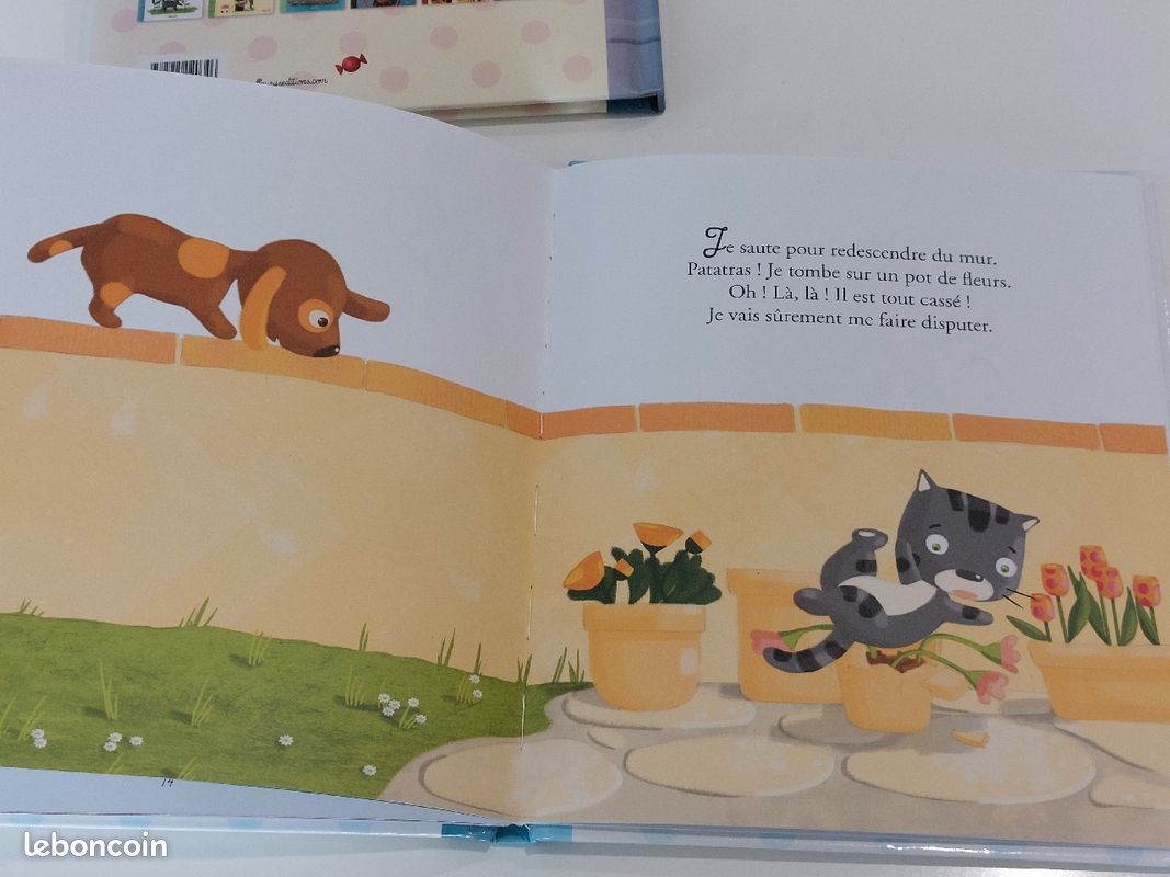Livres pour enfant (image 5)
