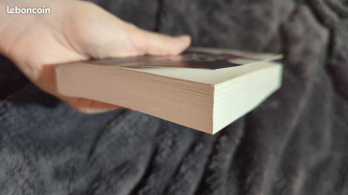 Livre Ne regarde pas, de Michelle Gagnon (image 8)
