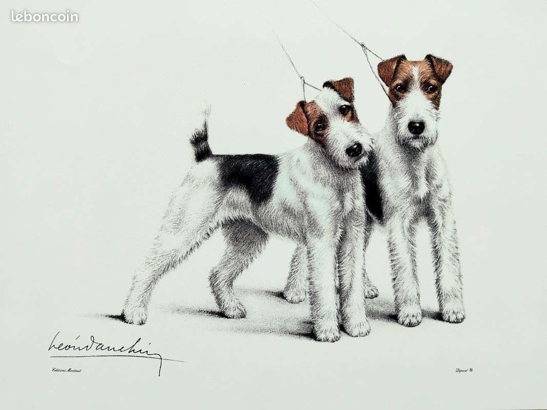 Léon Danchin. Fox.chien.chasse (image 1)