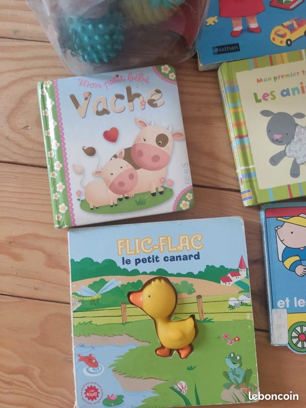 Lot de balles d'activités + livres bébé (image 2)