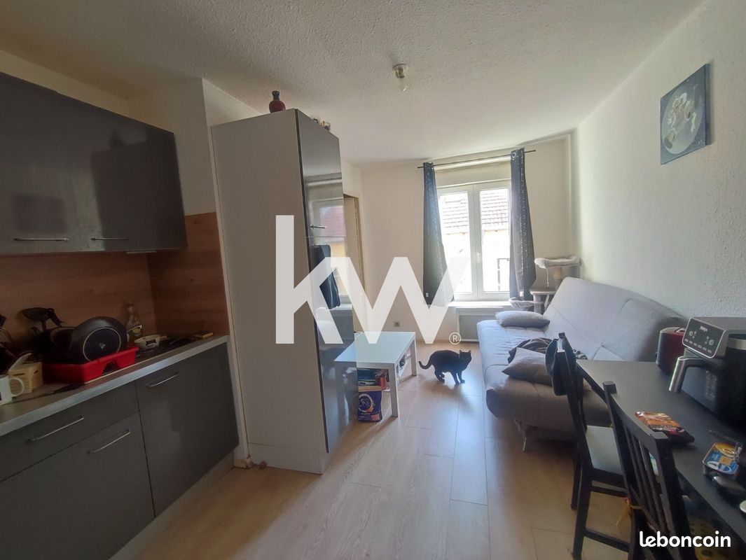 Immeuble 241 m² Saint-Étienne (image 6)