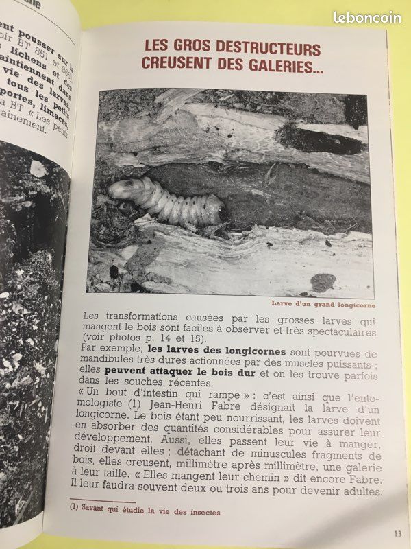 Bibliothèque du Travail 890 La souche du bois à l’humus (image 4)