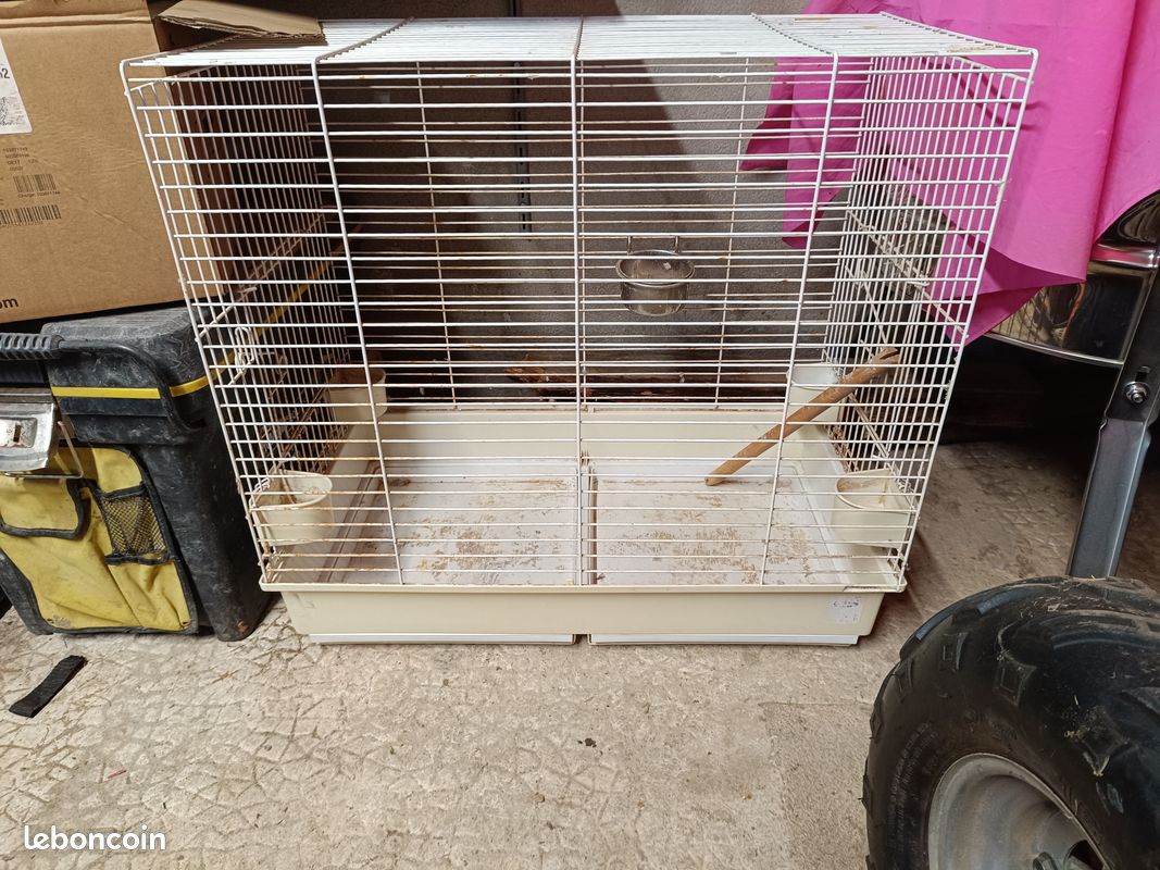 Cage oiseaux (image 2)