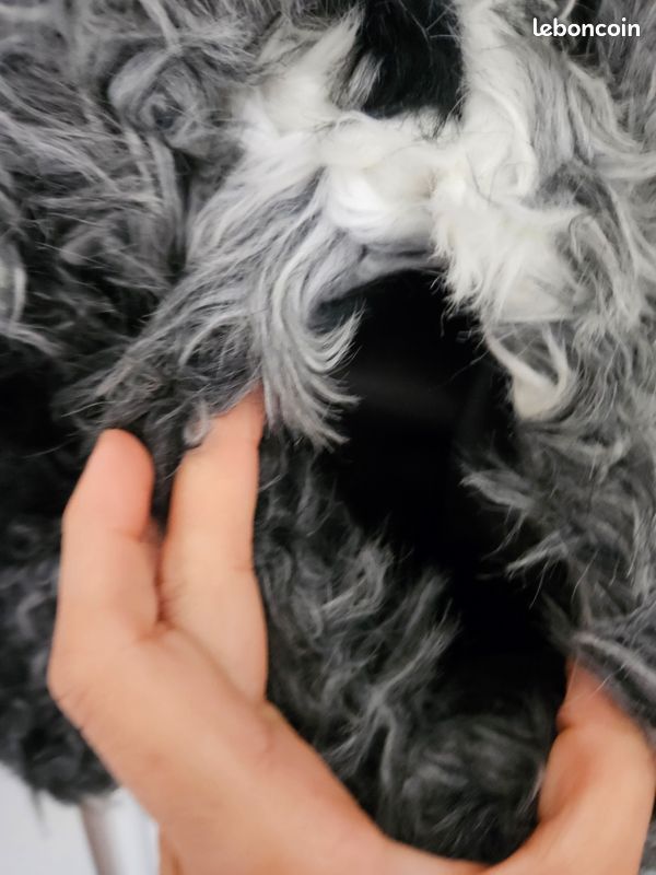 Manteau fausse fourrure zara (image 4)