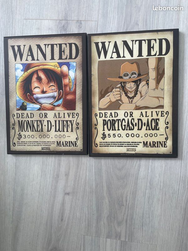Avis de recherche, One Piece (image 1)