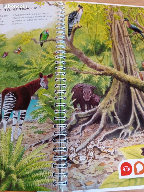 Livre tiptoi les animaux d'Afrique (image 9)