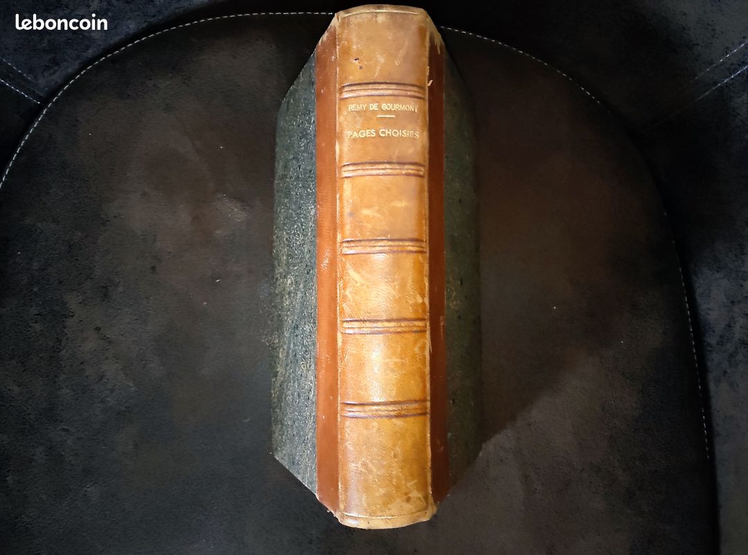 Livre: Remy de Gourmont Pages Choisies (image 2)