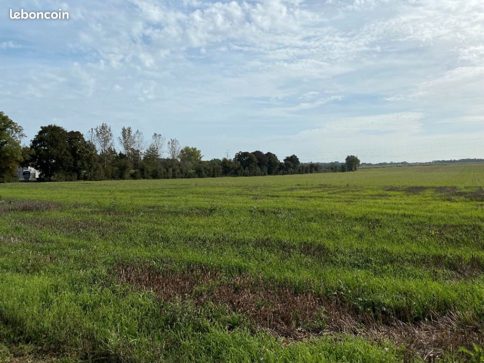 Terrain 3347 m² · à Étrun · 104 800 €
