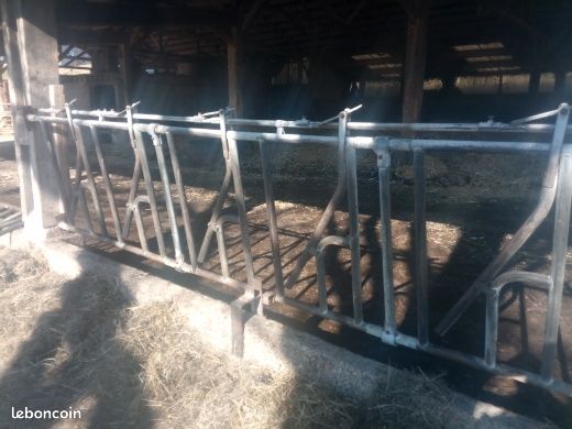 Cornadis vaches (image 2)