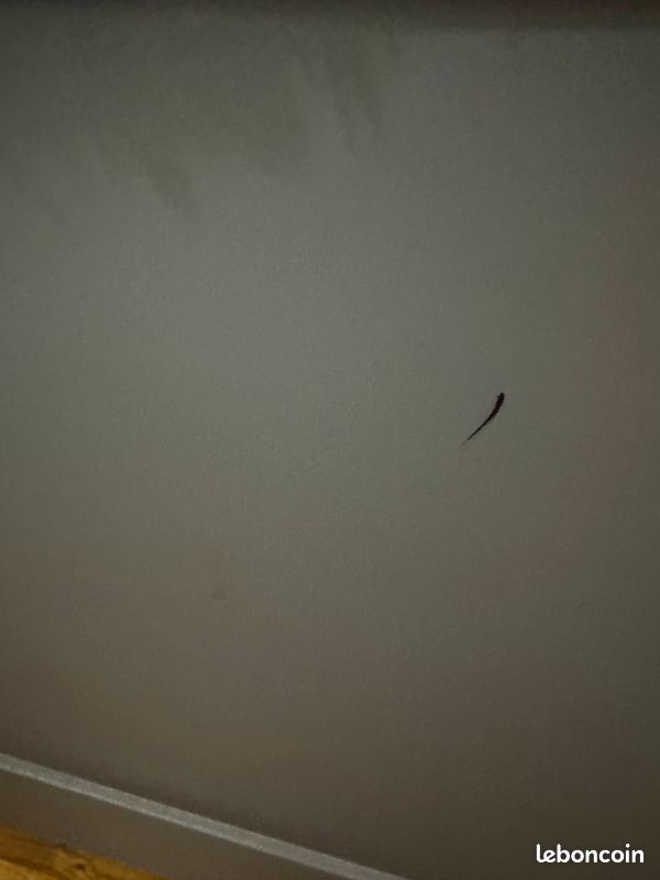 Lit laurette enfant + lit tiroir couleur gris souris parfait etat (image 9)