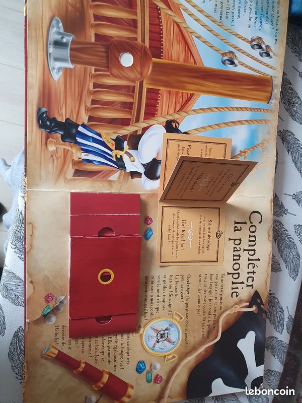 Le grand guide des pirates (image 4)