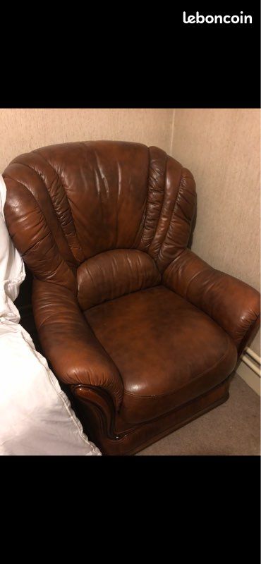 Fauteuil et Canapé en cuir de buffle (image 1)