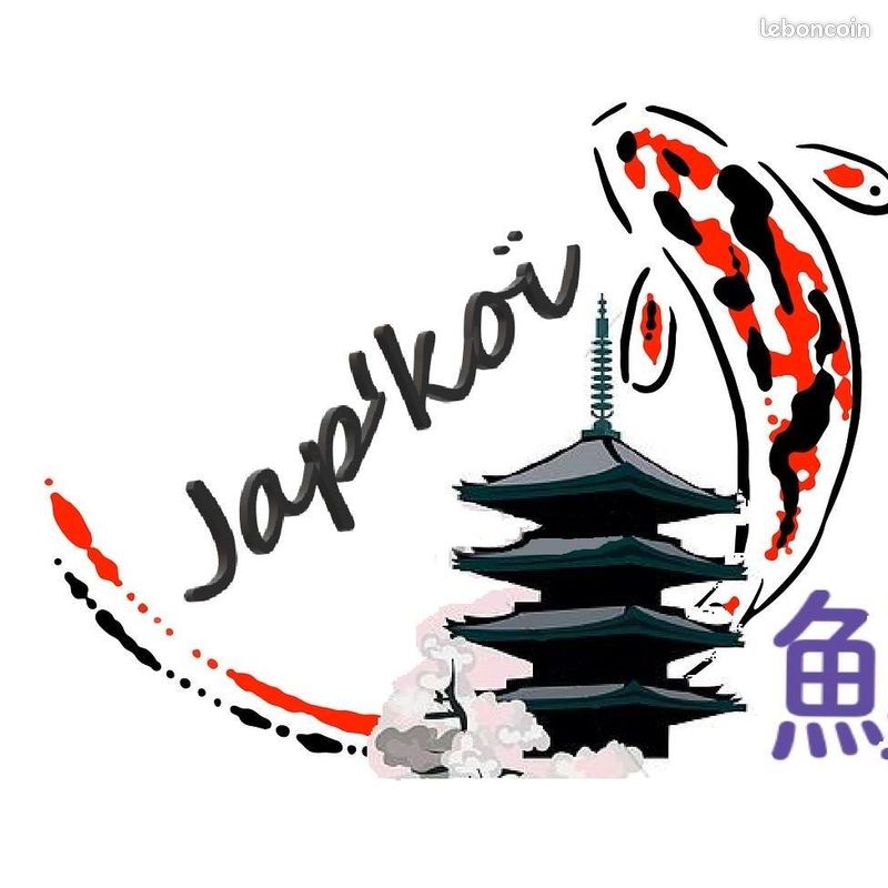 Bassine bac matériels pour carpes koi japonaise bassin (image 3)