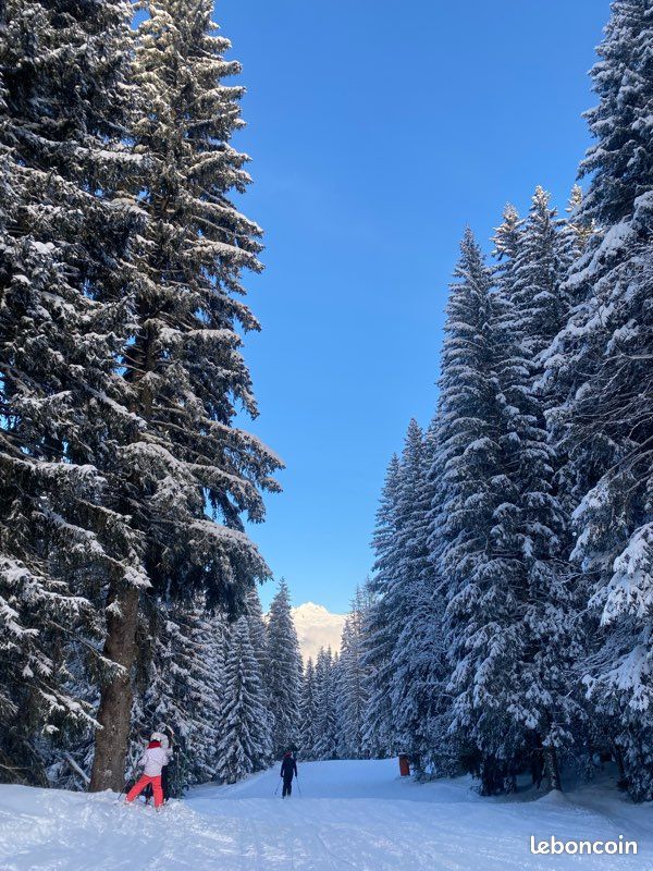 Appartement avec accès direct aux pistes (image 6)