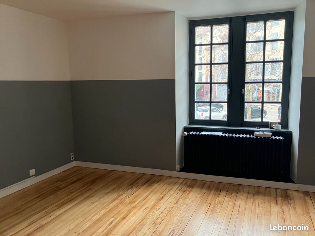 Appartement 1 pièce 50 m² · à Le Puy-en-Velay · 50 m² · 390 €