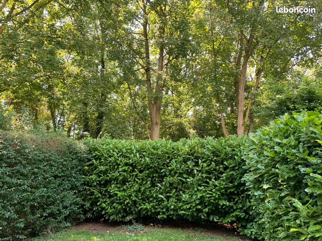 Maison 5 pièces 112 m² · à Villeneuve-d'Ascq · 112 m² · 348 000 €