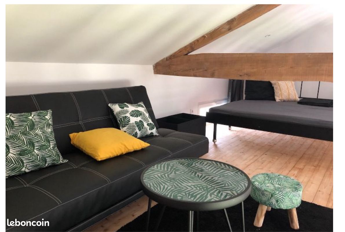 Logement meublé, Belin Beliet - Belin-Béliet 33830 (image principale 3)