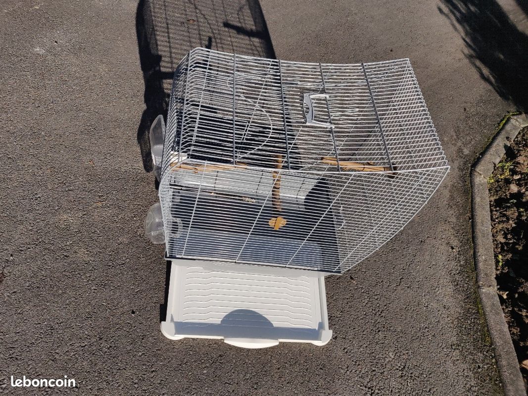 Cage à oiseaux (image 2)