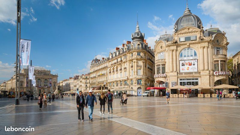 Appartement 1 pièce 20 m² · à Montpellier · 20 m² · 600 €/mois