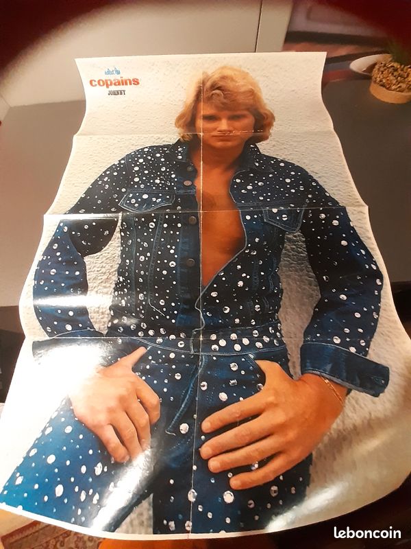 Johnny Hallyday (image 9)