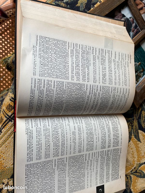 Vends dictionnaire Littré 4 tomes (image 2)