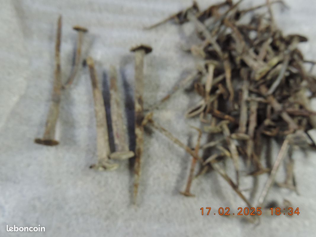 Clous forgés (image 3)